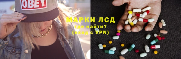 шишки Аркадак