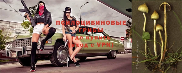 круглые Арсеньев