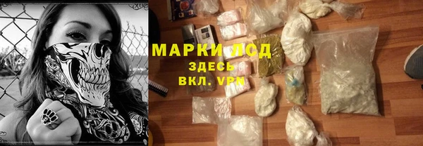 шишки Аркадак