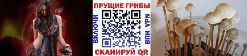 кракен рабочий сайт  Ухта  маркетплейс как зайти  Псилоцибиновые грибы Psilocybine cubensis 